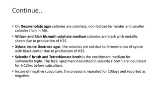 Continue..
• On Deoxycholate agar colonies are colorless, non-lactose fermenter and smaller
colonies than in MA.
• Wilson and Blair bismuth sulphate medium colonies are black with metallic
sheen due to production of H2S.
• Xylose Lysine Dextrose agar, the colonies are red due to fermentation of xylose
with black center due to production of H2S.
• Selenite F broth and Tetrathionate broth is the enrichment medium for
Salmonella typhi. The fecal specimen inoculated in selenite F broth are incubated
for 6-12hrs before subculture.
• Incase of negative subculture, the process is repeated for 10days and reported as
negative.
 