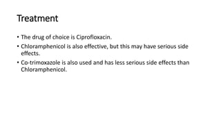 Treatment
• The drug of choice is Ciprofloxacin.
• Chloramphenicol is also effective, but this may have serious side
effects.
• Co-trimoxazole is also used and has less serious side effects than
Chloramphenicol.
 