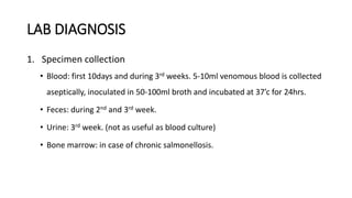 LAB DIAGNOSIS
1. Specimen collection
• Blood: first 10days and during 3rd weeks. 5-10ml venomous blood is collected
aseptically, inoculated in 50-100ml broth and incubated at 37’c for 24hrs.
• Feces: during 2nd and 3rd week.
• Urine: 3rd week. (not as useful as blood culture)
• Bone marrow: in case of chronic salmonellosis.
 