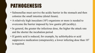 PATHOGENESIS
• Salmonellae must survive the acidic barrier in the stomach and then
colonize the small intestine (distal ileum).
• A relatively high inoculum (105) organisms or more is needed to
overcome the barrier imposed by low gastric pH (acidity).
• In general, the greater the infectious dose, the higher the attack rate
and the shorter the incubation period
• If gastric acid is reduced, for example, by achlorhydria or acid
suppressive medication (omeprazole), a lower infecting dose than 105
is required.
 