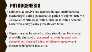 PATHOGENESIS
• Salmonellae survive and replicate intracellularly in tissue
macrophages during an incubation period of approximately 5–
21 days after primary infection, then the infection becomes
bacteremia and typically presents with fever.
• Organisms may be seeded to other sites during bacteremia,
especially damaged or abnormal tissue in the renal tract,
endothelium, bone and joints, or biliary system, where
metastatic infections may arise.
 