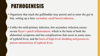 PATHOGENESIS
• Organisms that reach the gallbladder may persist and re-enter the gut in
bile, setting up a later secondary small bowel infection.
• Unlike the mild primary infection, this secondary infection causes
severe Peyer’s patch inflammation, which is the basis of both the
abdominal symptoms and late complications that occur in some cases
of typhoid fever, and the basis of high-level shedding and person-to-
person transmission of typhoid fever.
 