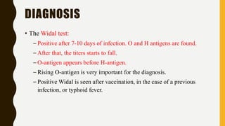 DIAGNOSIS
• The Widal test:
– Positive after 7-10 days of infection. O and H antigens are found.
– After that, the titers starts to fall.
– O-antigen appears before H-antigen.
– Rising O-antigen is very important for the diagnosis.
– Positive Widal is seen after vaccination, in the case of a previous
infection, or typhoid fever.
 