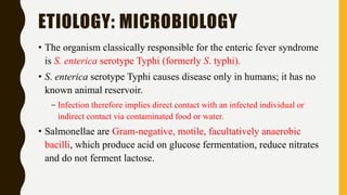 ETIOLOGY: MICROBIOLOGY
• The organism classically responsible for the enteric fever syndrome
is S. enterica serotype Typhi (formerly S. typhi).
• S. enterica serotype Typhi causes disease only in humans; it has no
known animal reservoir.
– Infection therefore implies direct contact with an infected individual or
indirect contact via contaminated food or water.
• Salmonellae are Gram-negative, motile, facultatively anaerobic
bacilli, which produce acid on glucose fermentation, reduce nitrates
and do not ferment lactose.
 