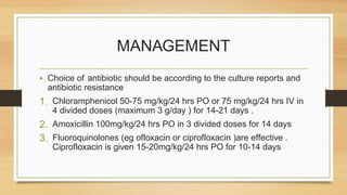 MANAGEMENT
• Choice of antibiotic should be according to the culture reports and
antibiotic resistance
1. Chloramphenicol 50-75 mg/kg/24 hrs PO or 75 mg/kg/24 hrs IV in
4 divided doses (maximum 3 g/day ) for 14-21 days .
2. Amoxicillin 100mg/kg/24 hrs PO in 3 divided doses for 14 days
3. Fluoroquinolones (eg ofloxacin or ciprofloxacin )are effective .
Ciprofloxacin is given 15-20mg/kg/24 hrs PO for 10-14 days
 