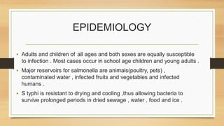 EPIDEMIOLOGY
• Adults and children of all ages and both sexes are equally susceptible
to infection . Most cases occur in school age children and young adults .
• Major reservoirs for salmonella are animals(poultry, pets) ,
contaminated water , infected fruits and vegetables and infected
humans .
• S typhi is resistant to drying and cooling ,thus allowing bacteria to
survive prolonged periods in dried sewage , water , food and ice .
 
