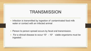 TRANSMISSION
• Infection is transmitted by ingestion of contaminated food milk
water or contact with an infected animal
• Person to person spread occurs by fecal oral transmission.
• For a clinical disease to occur 10⁵ - 10⁶ viable organisms must be
ingested .
 