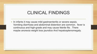 CLINICAL FINDINGS
• In infants it may cause mild gastroenteritis or severe sepsis.
Vomiting diarrhoea and abdominal distention are common. fever is
continuous and high-grade and may cause febrile fits . There
maybe anorexia weight loss jaundice And hepatosplenomegaly.
 