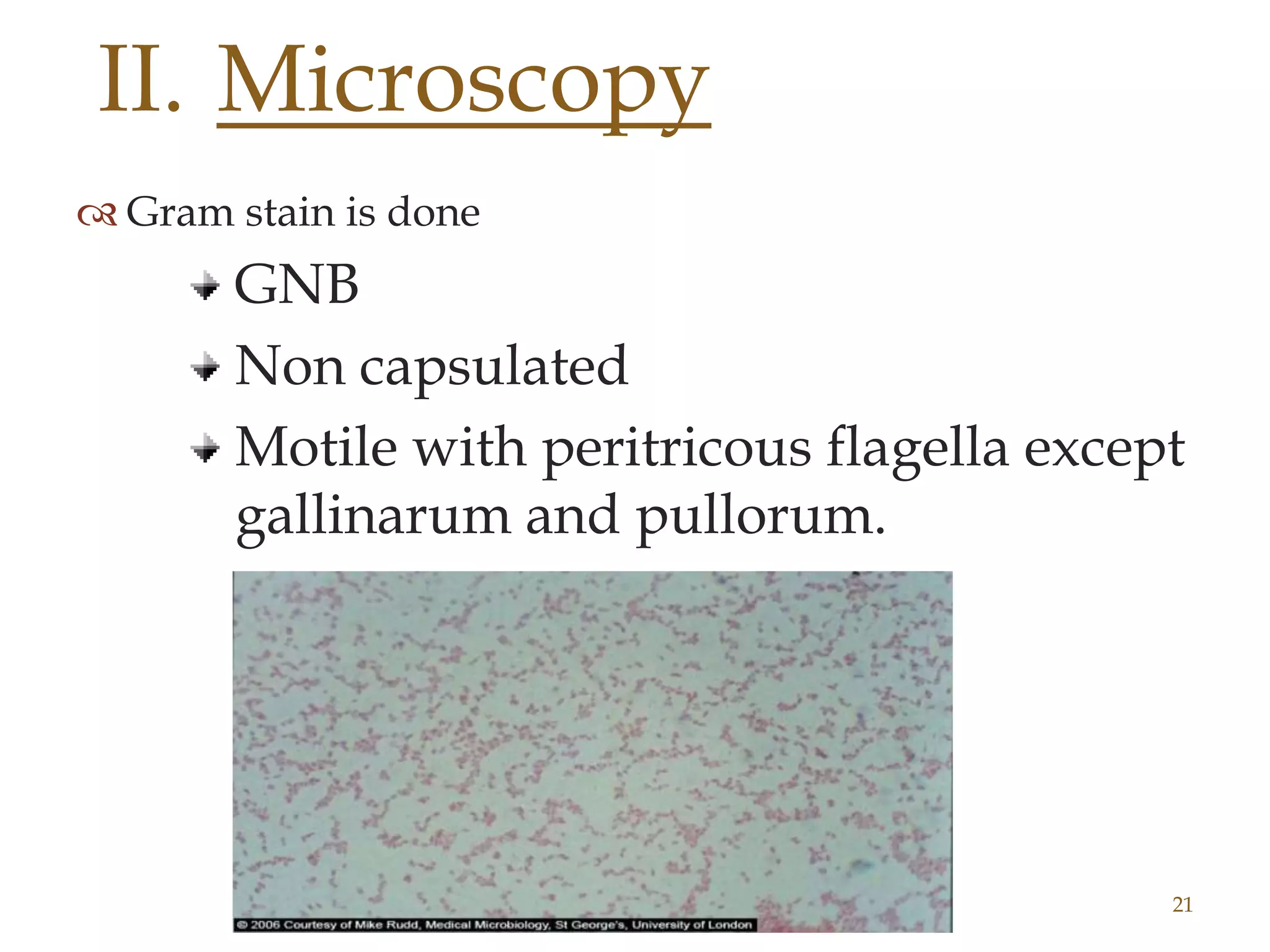 Enteric Microscopy Guide Enteric fever | PPTX