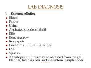 I. Specimen collection
Blood
Faeces
Urine
Aspirated duodenal fluid
Bile
Bone marrow
Rose spots
Pus from suppurative lesions
CSF
Sputum
At autopsy cultures may be obtained from the gall
bladder, liver, spleen, and mesenteric lymph nodes.
Enteric fever 19
LAB DIAGNOSIS
 