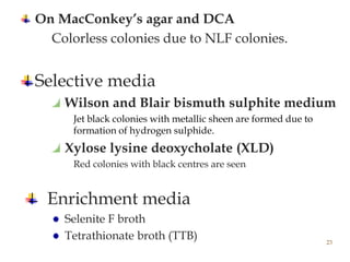 On MacConkey’s agar and DCA
Colorless colonies due to NLF colonies.
Selective media
Wilson and Blair bismuth sulphite medium
Jet black colonies with metallic sheen are formed due to
formation of hydrogen sulphide.
Xylose lysine deoxycholate (XLD)
Red colonies with black centres are seen
Enrichment media
Selenite F broth
Tetrathionate broth (TTB) 23
 