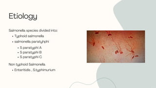 Enteric Fever – A Clinical Overview of Typhoid and Paratyphoid | PDF