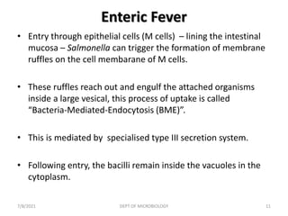 Enteric Fever
• Entry through epithelial cells (M cells) – lining the intestinal
mucosa – Salmonella can trigger the formation of membrane
ruffles on the cell membarane of M cells.
• These ruffles reach out and engulf the attached organisms
inside a large vesical, this process of uptake is called
“Bacteria-Mediated-Endocytosis (BME)”.
• This is mediated by specialised type III secretion system.
• Following entry, the bacilli remain inside the vacuoles in the
cytoplasm.
7/8/2021 DEPT OF MICROBIOLOGY 11
 