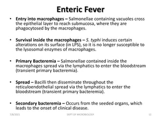 Enteric Fever
• Entry into macrophages – Salmonellae containing vacuoles cross
the epithelial layer to reach submucosa, where they are
phagocytosed by the macrophages.
• Survival inside the macrophages – S. typhi induces certain
alterations on its surface (in LPS), so it is no longer susceptible to
the lysosomal enzymes of macrophages.
• Primary Bacteremia – Salmonellae contained inside the
macrophages spread via the lymphatics to enter the bloodstream
(transient primary bacteremia).
• Spread – Bacilli then disseminate throughout the
reticuloendothelial spread via the lymphatics to enter the
bloodstream (transient primary bacteremia).
• Secondary bacteremia – Occurs from the seeded organs, which
leads to the onset of clinical disease.
7/8/2021 DEPT OF MICROBIOLOGY 12
 