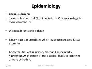 Epidemiology
• Chronic carriers:
• It occurs in about 1-4 % of infected pts. Chronic carriage is
more common in:
• Women, infants and old age
• Biliary tract abnormalities which leads to increased feceal
excretion.
• Abnormalities of the urinary tract and associated S.
haematobium infection of the bladder- leads to increased
urinary excretion.
7/8/2021 DEPT OF MICROBIOLOGY 22
 