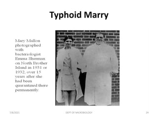Typhoid Marry
7/8/2021 DEPT OF MICROBIOLOGY 24
 