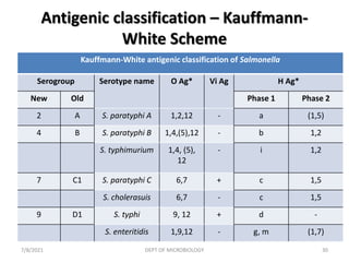 Antigenic classification – Kauffmann-
White Scheme
Kauffmann-White antigenic classification of Salmonella
Serogroup Serotype name O Ag* Vi Ag H Ag*
New Old Phase 1 Phase 2
2 A S. paratyphi A 1,2,12 - a (1,5)
4 B S. paratyphi B 1,4,(5),12 - b 1,2
S. typhimurium 1,4, (5),
12
- i 1,2
7 C1 S. paratyphi C 6,7 + c 1,5
S. cholerasuis 6,7 - c 1,5
9 D1 S. typhi 9, 12 + d -
S. enteritidis 1,9,12 - g, m (1,7)
7/8/2021 DEPT OF MICROBIOLOGY 30
 