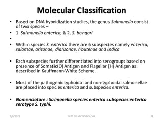 Molecular Classification
• Based on DNA hybridization studies, the genus Salmonella consist
of two species –
• 1. Salmonella enterica, & 2. S. bongori
•
• Within species S. enterica there are 6 subspecies namely enterica,
salamae, arizonae, diarizonae, houtenae and indica
• Each subspecies further differentiated into serogroups based on
presence of Somatic(O) Antigen and Flagellar (H) Antigen as
described in Kauffmann-White Scheme.
• Most of the pathogenic typhoidal and non-typhoidal salmonellae
are placed into species enterica and subspecies enterica.
• Nomenclature : Salmonella species enterica subspecies enterica
serotype S. typhi.
7/8/2021 DEPT OF MICROBIOLOGY 31
 