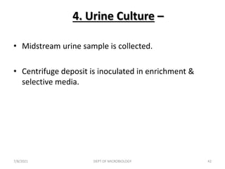 4. Urine Culture –
• Midstream urine sample is collected.
• Centrifuge deposit is inoculated in enrichment &
selective media.
7/8/2021 DEPT OF MICROBIOLOGY 42
 