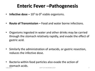 Enteric Fever –Pathogenesis
• Infective dose – 103 to 09 viable organisms.
• Route of Transmission – Food and water borne infections.
• Organisms ingested in water and other drinks may be carried
through the stomach relatively rapidly, and evade the effect of
gastric acid.
• Similarly the administration of antacids, or gastric resection,
reduces the infective dose.
• Bacteria within food particles also evade the action of
stomach acids.
7/8/2021 DEPT OF MICROBIOLOGY 7
 
