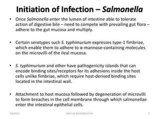 Initiation of Infection – Salmonella
• Once Salmonella enter the lumen of intestine able to tolerate
action of digestive bile – need to compete with prevailing gut flora –
adhere to the gut mucosa and multiply.
• Certain serotypes such S. typhimurium expresses type-1 fimbriae,
which enable them to adhere to α-mannose-containing molecules
on the microvilli of the ileal mucosa.
• S. typhimurium and other have pathogenicity islands that can
encode binding sites/receptors for its adhesions inside the host
cells unlike fimbriae, which require host-derived binding sites
located in the intestinal wall.
• Attachment to host mucosa followed by degeneration of microvilli
to form breaches in the cell membrane through which salmonellae
enter the intestinal epithelial cells.
7/8/2021 DEPT OF MICROBIOLOGY 9
 