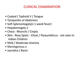 CLINICAL EXAMINATION
• Coated ( Typhoid V ) Tongue
• Tympanitis of Abdomen
• Soft Splenomegaly(≥ 1 week fever)
• Hepatomegaly ±
• Chest : Rhonchi / Crepts
• Skin : Rosy Spots ‐ Chest / Paraumblicus ‐ not seen in
Indian Children
• Mild / Moderate Anemia
• Meningismus ±
• Jaundice ( Rare)
 