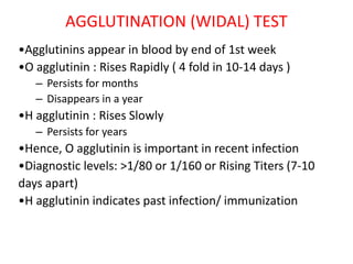 AGGLUTINATION (WIDAL) TEST
•Agglutinins appear in blood by end of 1st week
•O agglutinin : Rises Rapidly ( 4 fold in 10‐14 days )
– Persists for months
– Disappears in a year
•H agglutinin : Rises Slowly
– Persists for years
•Hence, O agglutinin is important in recent infection
•Diagnostic levels: >1/80 or 1/160 or Rising Titers (7‐10
days apart)
•H agglutinin indicates past infection/ immunization
 