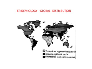 EPIDEMIOLOGY- GLOBAL DISTRIBUTION
 