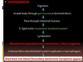  PATHOGENESIS
Ingestion
Invade body through gut mucosa in terminal ileum.
Pass through intestinal mucosa
S.Typhi enter mesenteric lymphoid system
Lymphatics
Bloodstream (Asymptomatic bacteremia, Culture negative)
Colonize Reticuloendothelial system (replicate in macrophages)
Shed back into blood (Secondary bacteremia-Symptoms appear)
 