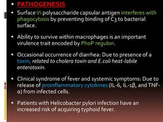  PATHOGENESIS
 SurfaceVi polysaccharide capsular antigen interferes with
phagocytosis by preventing binding of C3 to bacterial
surface.
 Ability to survive within macrophages is an important
virulence trait encoded by PhoP regulon.
 Occasional occurrence of diarrhea: Due to presence of a
toxin, related to cholera toxin and E.coli heat-labile
enterotoxin.
 Clinical syndrome of fever and systemic symptoms: Due to
release of proinflammatory cytokines (IL-6, IL-1β, andTNF-
α) from infected cells.
 Patients with Helicobacter pylori infection have an
increased risk of acquiring typhoid fever.
 