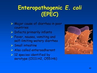 Enteric infection and food poisoning | PPT