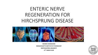 ENTERIC NERVE
REGENERATION FOR
HIRCHSPRUNG DISEASE
MUNIRA SHAHBUDDIN
MASSACHUSETTS INSTITUTE OF TECHNOLOGY
NORTHEASTERN UNIVERSITY
27TH MARCH 2018
 