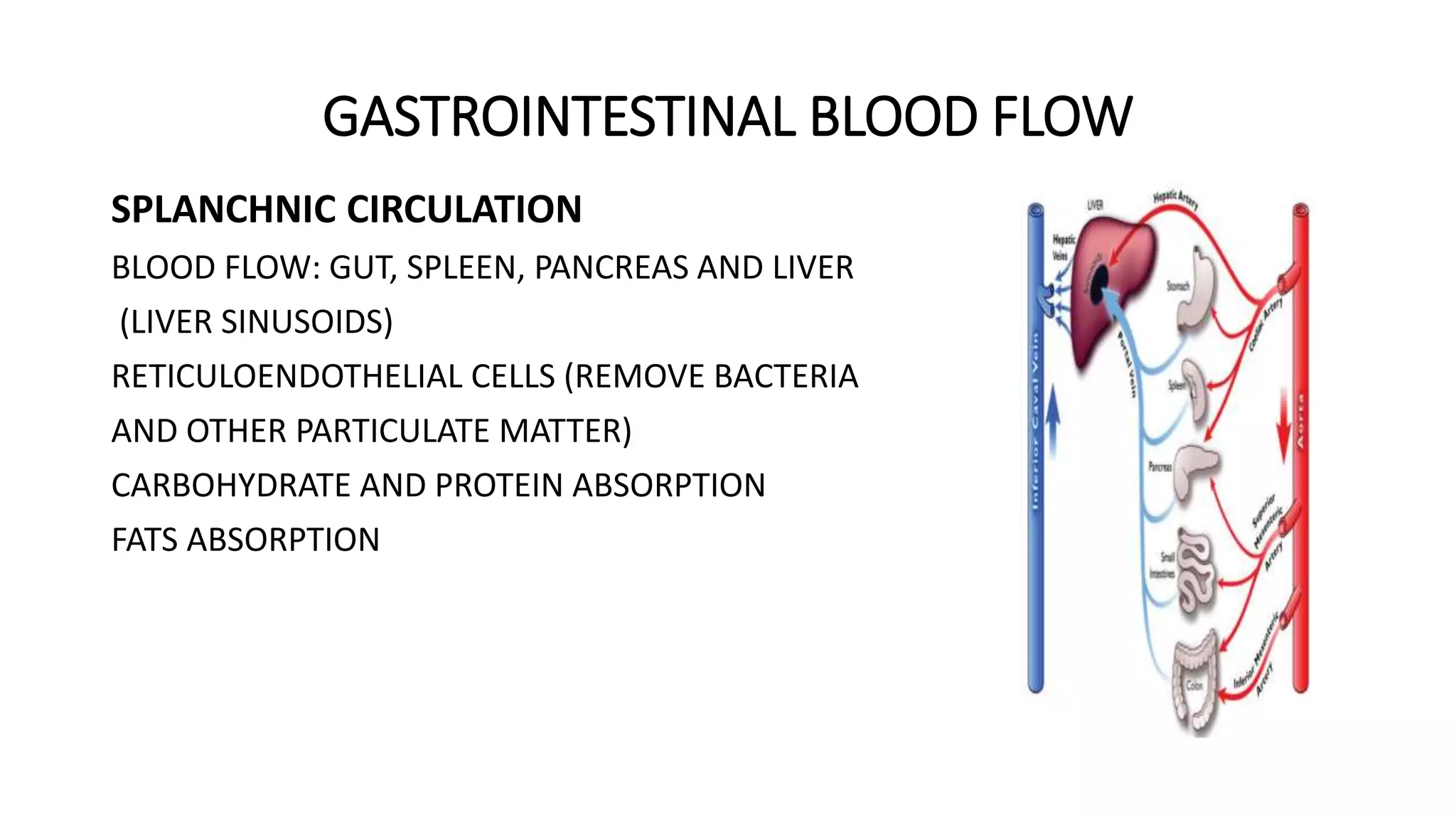 Enteric nervous system | PPTX