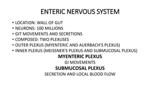 ENTERIC NERVOUS SYSTEM
• LOCATION: WALL OF GUT
• NEURONS: 100 MILLIONS
• GIT MOVEMENTS AND SECRETIONS
• COMPOSED: TWO PLEXUSES
• OUTER PLEXUS (MYENTERIC AND AUERBACH'S PLEXUS)
• INNER PLEXUS (MEISSNER'S PLEXUS AND SUBMUCOSAL PLEXUS)
MYENTERIC PLEXUS
GI MOVEMENTS
SUBMUCOSAL PLEXUS
SECRETION AND LOCAL BLOOD FLOW
 