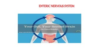 ENTERIC NERVOUS SYSTEM
 