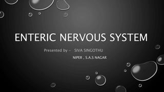 ENTERIC NERVOUS SYSTEM
Presented by - SIVA SINGOTHU
NIPER , S.A.S NAGAR
 