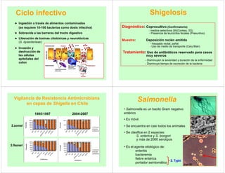Ciclo infectivo
z Ingestión a través de alimentos contaminados
(se requiere 10-100 bacterias como dosis infectiva)
z Sobrevida a las barreras del tracto digestivo
z Liberación de toxinas citotóxicas y neurotóxicas
(S. dysenterieae)
z Invasión y
destrucción de
las células
epiteliales del
colon
Diagnóstico: Coprocultivo (Confirmatorio)
- medios selectivos (McConkey, SS)
- Presencia de leucocitos fecales (Presuntivo)
Muestra: Deposición recién emitida
- hisopado rectal, pañal
- Uso de medio de transporte (Cary Blair)
Tratamiento: Uso de antibióticos reservado para casos
muy severos
- Disminuyen la severidad y duración de la enfermedad
- Disminuye tiempo de excreción de la bacteria
Shigelosis
Vigilancia de Resistencia Antimicrobiana
en cepas de Shigella en Chile
0%
20%
40%
60%
80%
100%
Porcentaje
A
M
P
S
X
T
T
E
T
C
A
F
A
M
O
X
I
/
C
L
A
V
G
E
N
T
A
C
I
P
R
O
A
C
N
A
L
I
Intermedio
Sensible
Resistente
0%
50%
100%
Porcentaje
A
M
P
S
X
T
T
E
T
C
A
F
A
C
N
A
L
I
A
M
O
X
I
/
C
L
A
V
G
E
N
T
A
C
I
P
R
O
Intermedio
Sensible
Resistente
0%
20%
40%
60%
80%
100%
Porcentaje
A
M
P
T
E
T
C
A
F
A
M
O
X
I
/
C
L
A
V
S
X
T
G
E
N
T
A
C
I
P
R
O
A
C
N
A
L
I
Antibióticos
Intermedio
Sensible
Resistente
0%
20%
40%
60%
80%
100%
Porcentaje
A
M
P
T
E
T
C
A
F
S
X
T
A
M
O
X
I
/
C
L
A
V
A
C
N
A
L
I
G
E
N
T
A
C
I
P
R
O
Antibióticos
Intermedio
Sensible
Resistente
1995-1997 2004-2007
S.sonnei
S.flexneri
Salmonella
• Salmonella es un bacilo Gram negativo
entérico
• Es móvil
• Se encuentra en casi todos los animales
• Se clasifica en 2 especies:
S. enterica y S. bongori
y más de 2000 serotipos
• Es el agente etiológico de:
enteritis
bacteremia
fiebre entérica
portador asintomático
Agar SS
S. Typhi
 