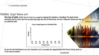 TIMING Stay? Move on?
WHICH SEASON
P2PPPPP
7. PLANTING SEASON
 