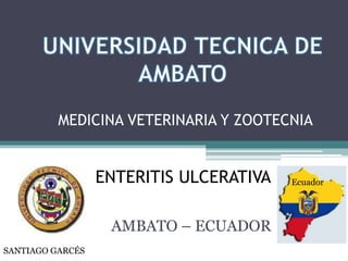 MEDICINA VETERINARIA Y ZOOTECNIA

ENTERITIS ULCERATIVA
AMBATO – ECUADOR
SANTIAGO GARCÉS

Ecuador

 