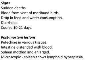 Signs
Sudden deaths.
Blood from vent of moribund birds.
Drop in feed and water consumption.
Diarrhoea.
Course 10-21 days.
Post-mortem lesions
Petechiae in various tissues.
Intestine distended with blood.
Spleen mottled and enlarged.
Microscopic - spleen shows lymphoid hyperplasia.
 