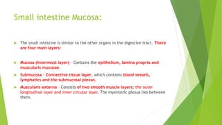 Small intestine Mucosa:
 The small intestine is similar to the other organs in the digestive tract. There
are four main l...