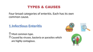 Comprehensive Overview of Small Intestine Anatomy and Enteritis | PPTX