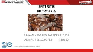 ENTERITIS
NECROTICA
BRAYAN NAVARRO PAREDES 710811
ADRIAN TELLEZ PEREZ 710810
 