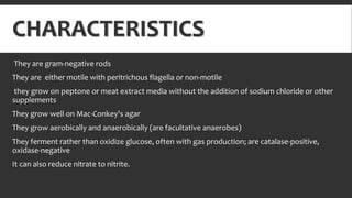 CHARACTERISTICS
They are gram-negative rods
They are either motile with peritrichous flagella or non-motile
they grow on peptone or meat extract media without the addition of sodium chloride or other
supplements
They grow well on Mac-Conkey's agar
They grow aerobically and anaerobically (are facultative anaerobes)
They ferment rather than oxidize glucose, often with gas production; are catalase-positive,
oxidase-negative
It can also reduce nitrate to nitrite.
 