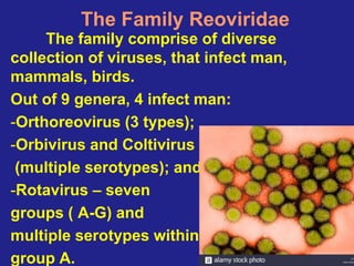 Entero-Rota virus presentation available | PPT
