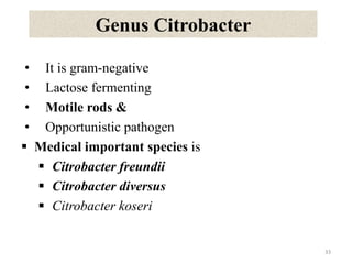 Genus Citrobacter
• It is gram-negative
• Lactose fermenting
• Motile rods &
• Opportunistic pathogen
 Medical important species is
 Citrobacter freundii
 Citrobacter diversus
 Citrobacter koseri
33
 