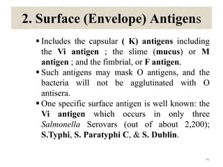 2. Surface (Envelope) Antigens
 Includes the capsular ( K) antigens including
the Vi antigen ; the slime (mucus) or M
antigen ; and the fimbrial, or F antigen.
 Such antigens may mask O antigens, and the
bacteria will not be agglutinated with O
antisera.
 One specific surface antigen is well known: the
Vi antigen which occurs in only three
Salmonella Serovars (out of about 2,200);
S.Typhi, S. Paratyphi C, & S. Dublin.
41
 