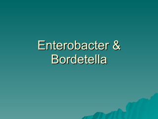 Enterobacter & Bordetella 