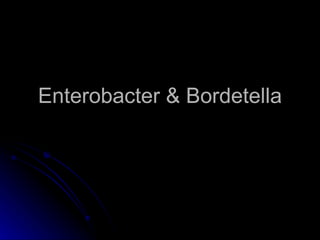 Enterobacter & Bordetella 