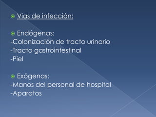    Vias de infección:

  Endógenas:
-Colonización de tracto urinario
-Tracto gastrointestinal
-Piel

 Exógenas:
-Manos del personal de hospital
-Aparatos
 
